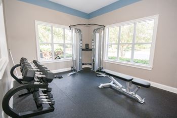 Free weights in gym